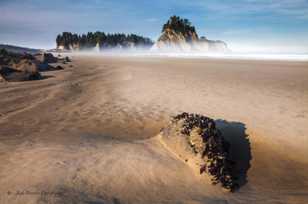 La Push beach-2333